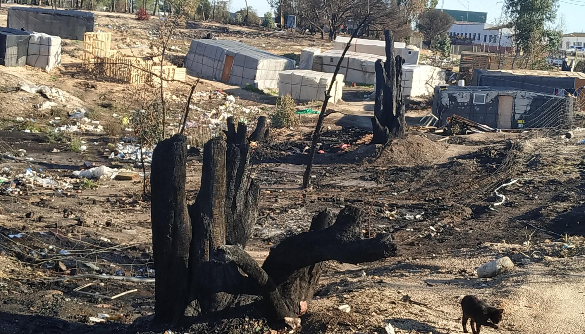 Asentamiento Palos Huelva incendio